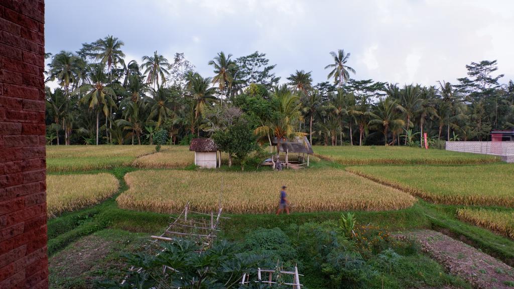 Wayan Garden Otel Ubud Dış mekan fotoğraf