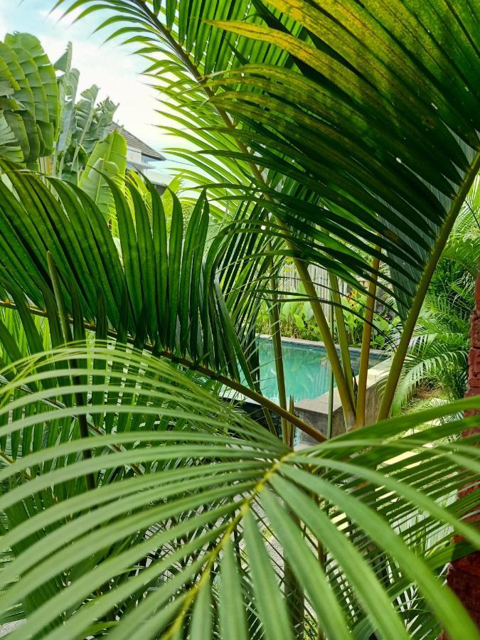 Wayan Garden Otel Ubud Dış mekan fotoğraf